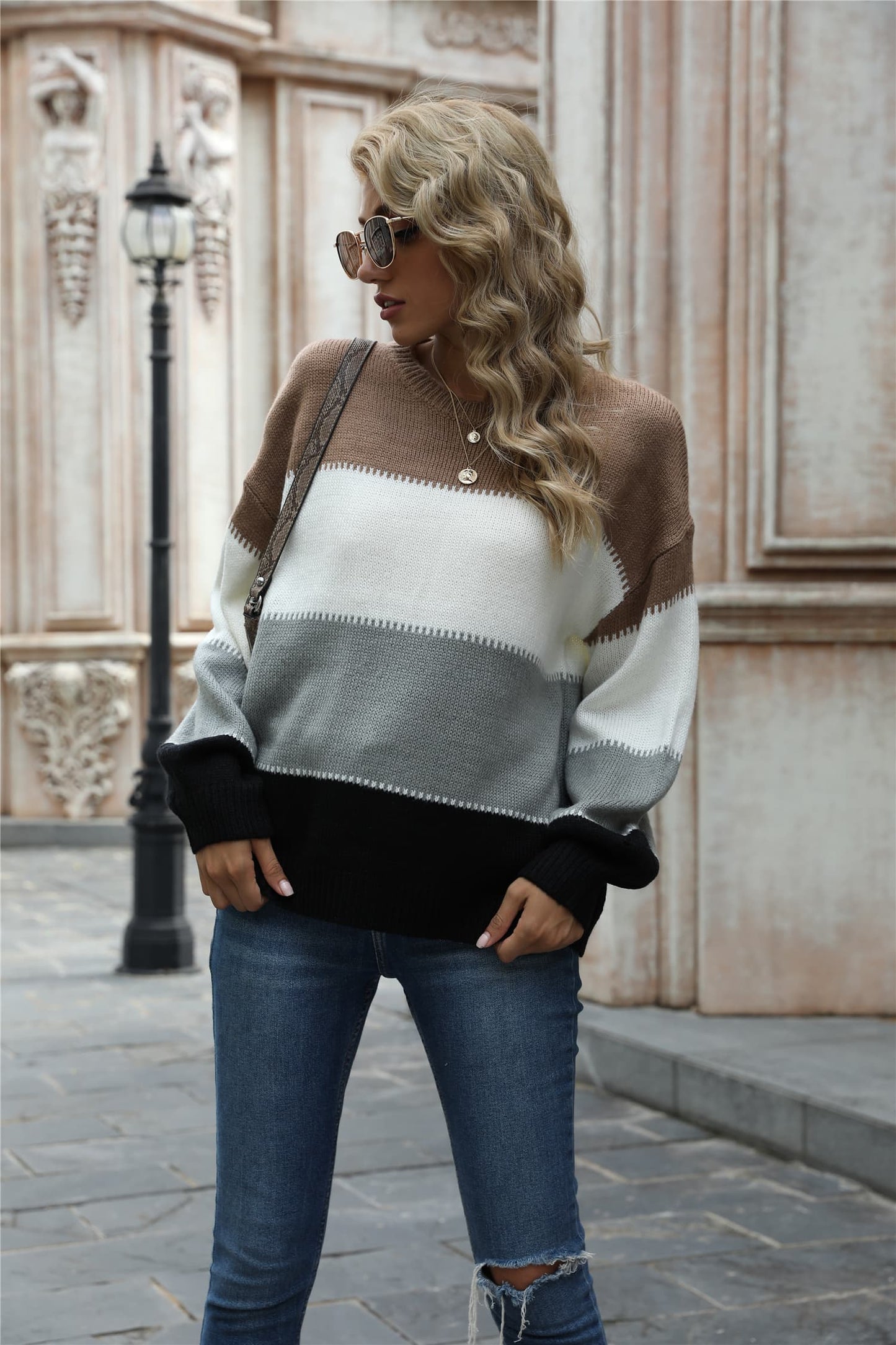 Angel Wings Color Block Round Neck Sweater